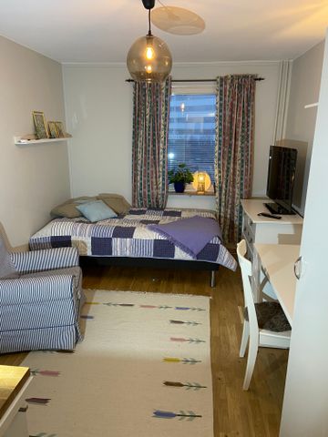 Jungfrudansen, Solna - Photo 3