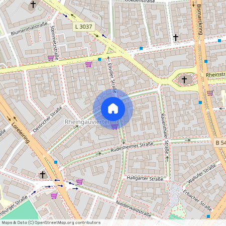 65197, Wiesbaden  Rheingauviertel