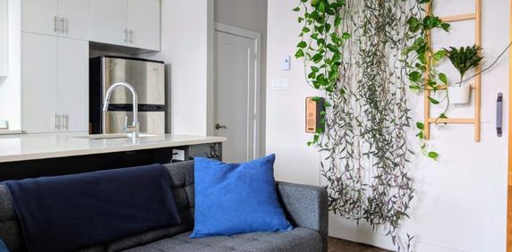 2 CH - 1 SDB - Montréal - $1,615 /mo - Photo 2