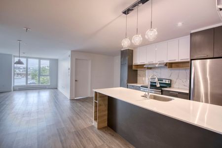 9675 Av. Papineau - Photo 5