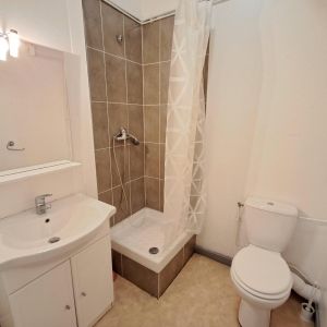 Location Appartement 1 pièce 15m² NANTES 44000 - Photo 3