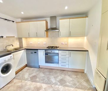 Scarlett Avenue - Photo 5