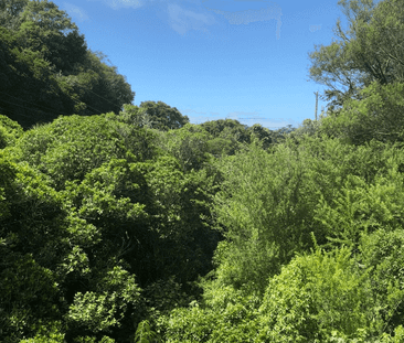 Gorgeous, Sunny Three Bedroom House - Photo 2