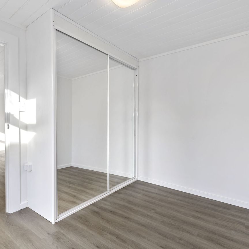 Newly Renovated Three Bedroom Home - Photo 1