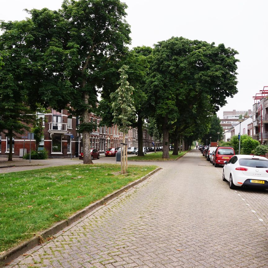 Warande - Photo 1
