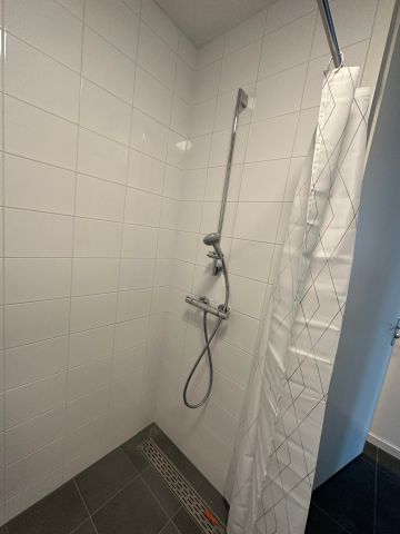 Te huur: Appartement van Brakelstraat in Eindhoven - Foto 2