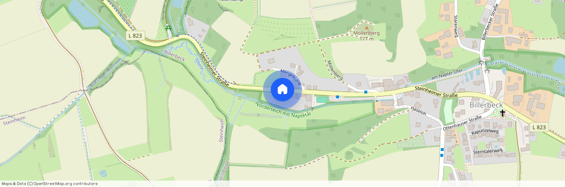 Steinheimer Straße 216, 32805 Horn-Bad Meinberg