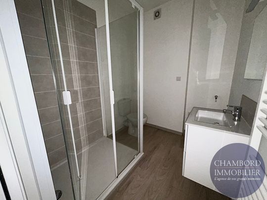 Appartement 2 pièces à louer au coeur de Blois - Photo 1