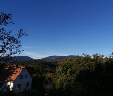 möblierte Wohnung am Rosenberg | 2 Zimmerwohnung | 6 Monate befrist... - Foto 3