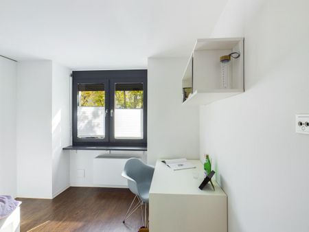 Bigger Bude 1.05.15 - Photo 2