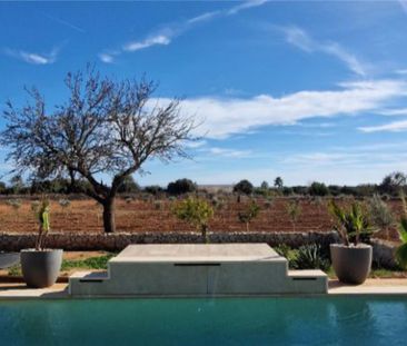 Casa o chalet de alquiler en Ctra Palma- Porto Petro, Km 33, Zona R... - Photo 6