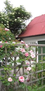 Köpmansgatan, Båstad - Photo 4