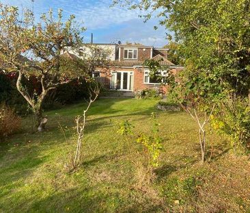 Mountnessing Road, Billericay, CM12 - Photo 4