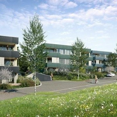 Traumhafte Wohnung in Birmensdorf zu vermieten! - Photo 1