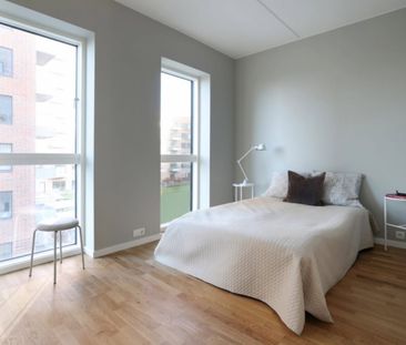 Lys stue og køkkenalrum i åben forbindelse - Photo 5