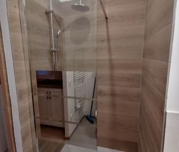 Location Appartement 1 pièce 18m² - Photo 4