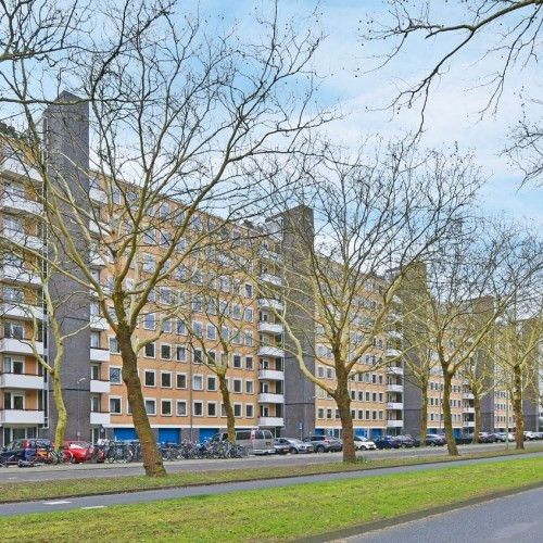 Van Nijenrodeweg 0ong, 1083 EA Amsterdam, Nederland - Foto 1