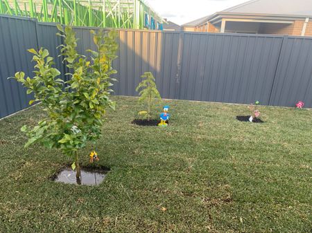 Melton South - Photo 4