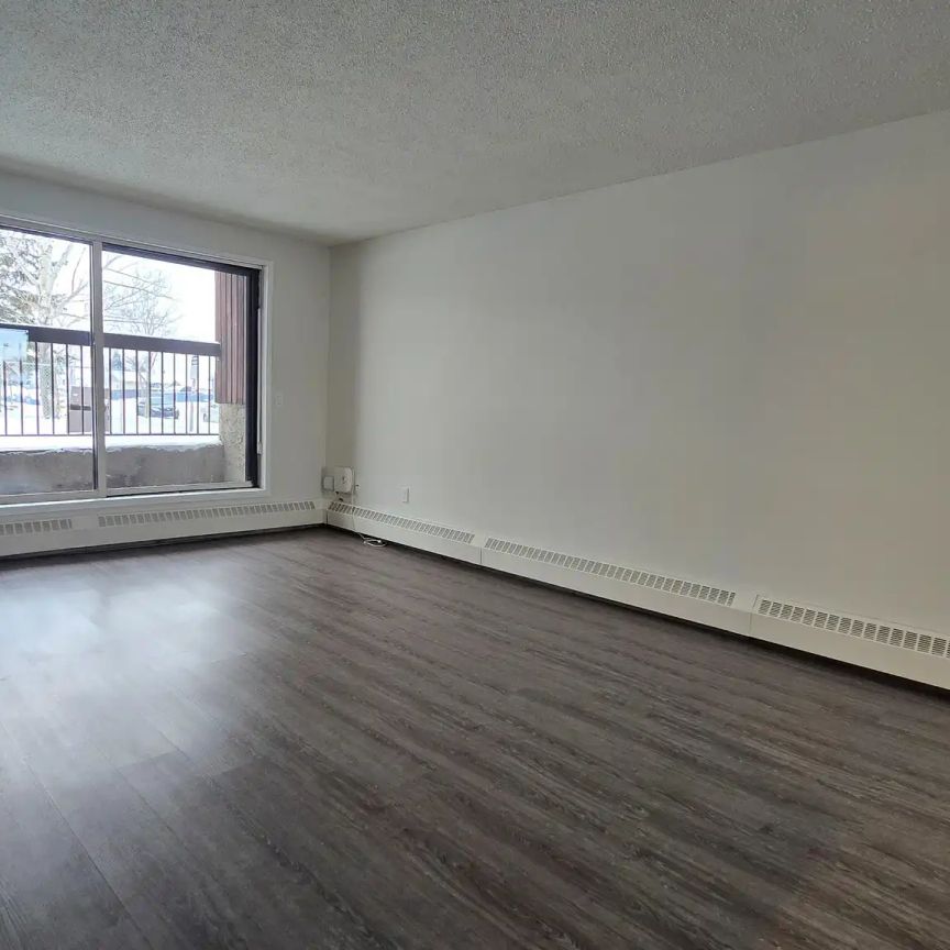 Lorelei House — 2 Bedroom - Photo 1