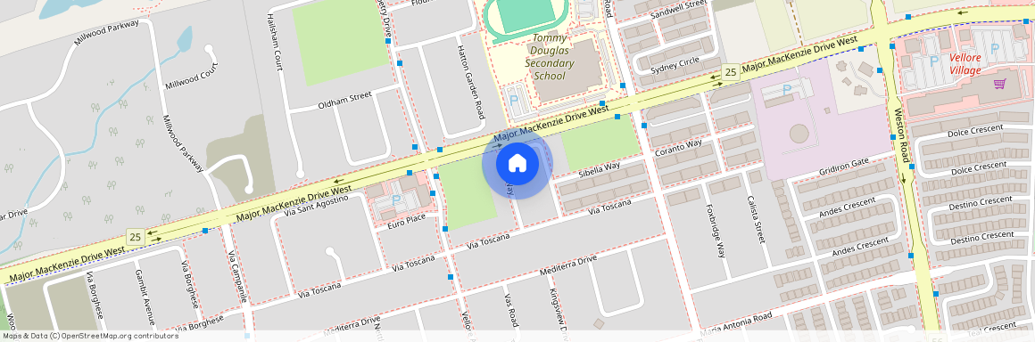 86 Alexie Way Unit# Bsmt, Vaughan