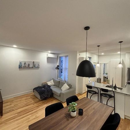 Magnifique 4 ½ entièrement rénové — 1000 pi² — Hochelaga-Maisonneuve — Disponible rapidement - Photo 3