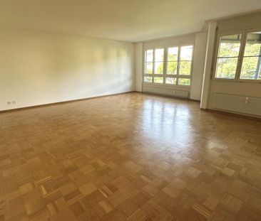 Ruhige 3.5 Zimmerwohnung mit grossem Balkon - Foto 4