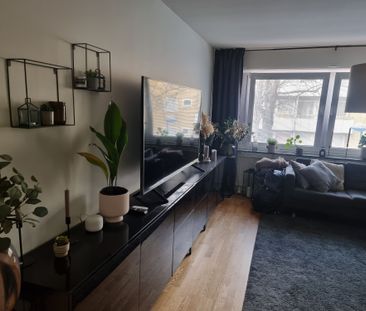 Hyppingeplan, Spånga - Foto 4