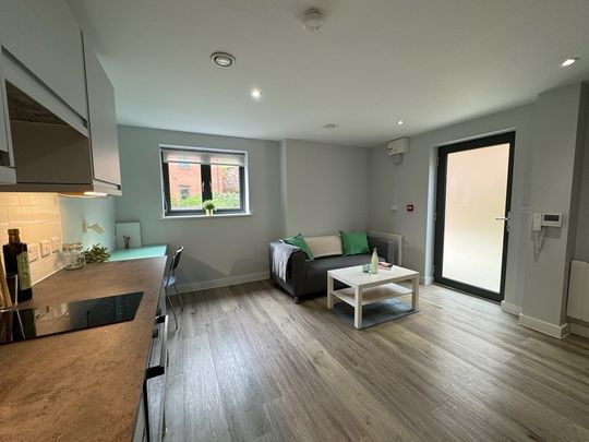 1 bedroom Luxury student apartment to rent - Photo 1