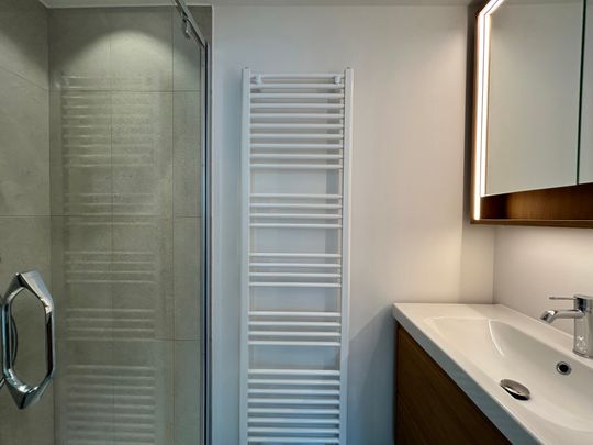 Rue Saint-Boniface, 1050, Ixelles - Photo 1