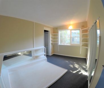 20 Grandview Drive, Newport NSW 2106 - House For Rent | Domain - Photo 5