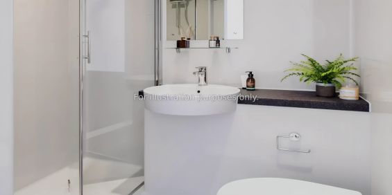 Classic Studio - Photo 3