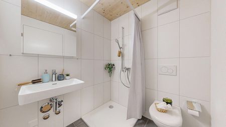 First occupation - Your new studio in the Stadtsägi - Photo 2