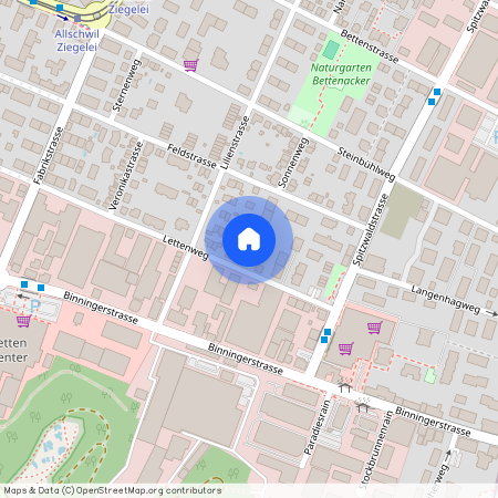 4123, Allschwil, Lettenweg, 111