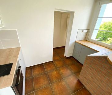 Appartement T3 Avignon à louer - Photo 6