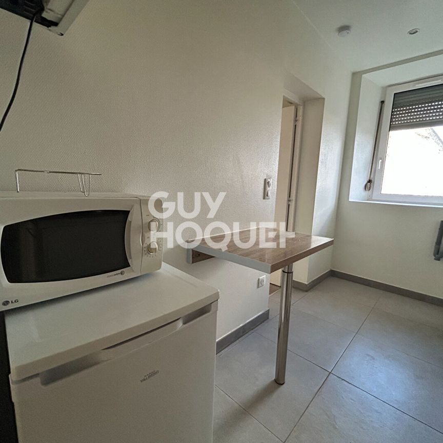 A LOUER : Appartement meublé / ou non meublé à Mulhouse 3 pièce(s) 49 m2 - Photo 1