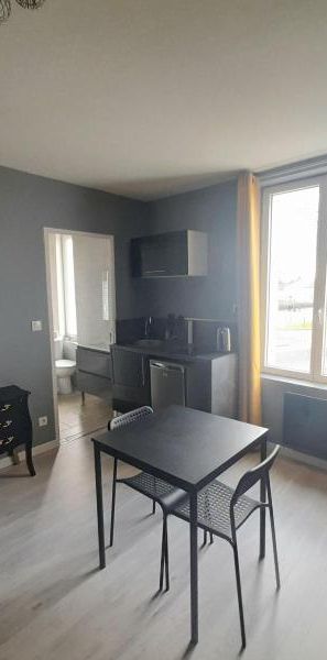 Location Appartement 1 pièce 23m² NAZELLES NEGRON 37530 - Photo 1