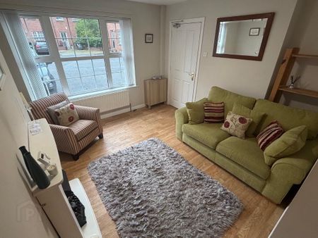 8 Ashley Mews, Belfast, BT9 7BN - Photo 2