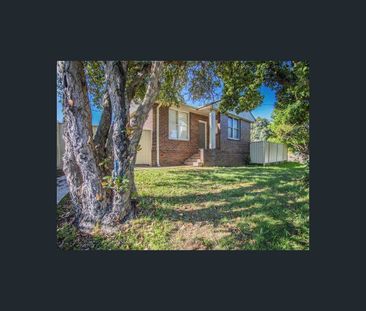 7 Burke Road, Lalor Park, NSW 2147 - Photo 4