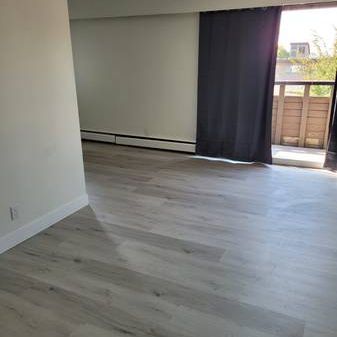 Newly Renovated 1Bed 1 Bath - Photo 3