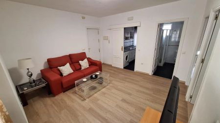 Piso de alquiler en Plaza Fernando Barquín, 16, Cruz Roja - Photo 2