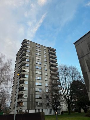 "Neues Zuhause gesucht?" - Foto 1