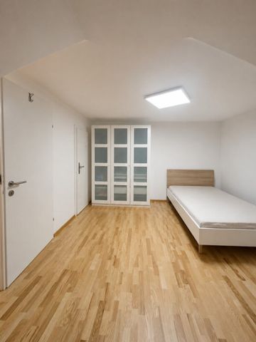 4-Zimmer Wohnung im Zentrum von Linz ab sofort zu vermieten - Foto 3