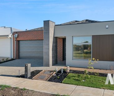 13 Monteverde Street, Armstrong Creek VIC 3217 - House For Rent | D... - Photo 3