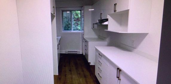 NDG Apt 1 bedroom - Photo 2