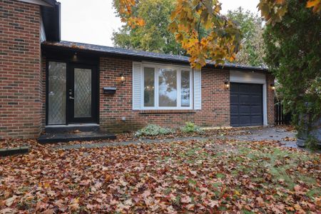 For Lease - 246 Hodgson Drive, Newmarket, Ontario - Photo 4