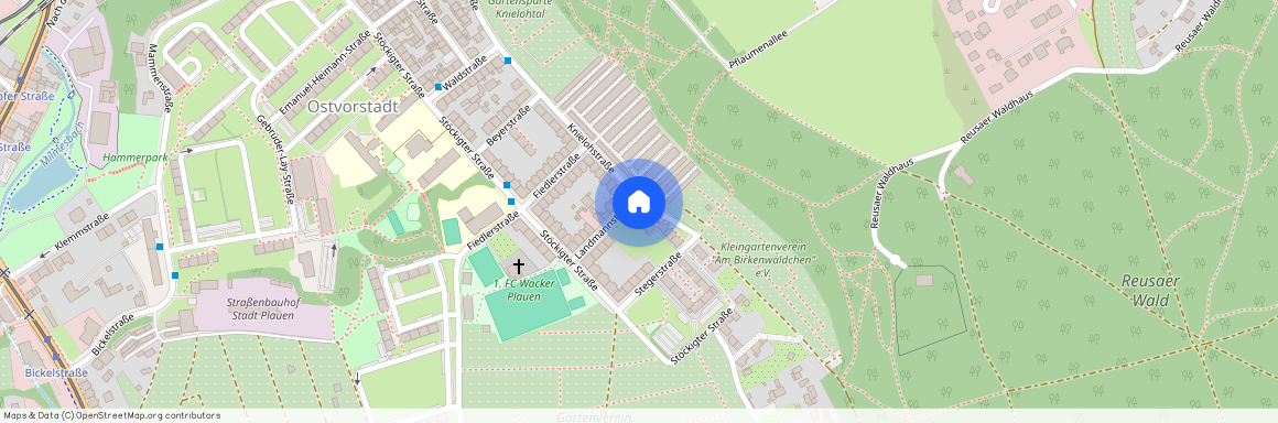 Knielohstraße 49, |, 08527 Plauen