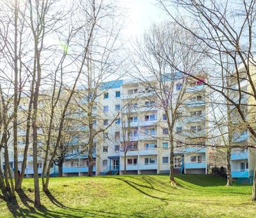 Wir renovieren! Hier wartet Ihre neue 3-Zimmer-Wohnung - Einbauküch... - Foto 1