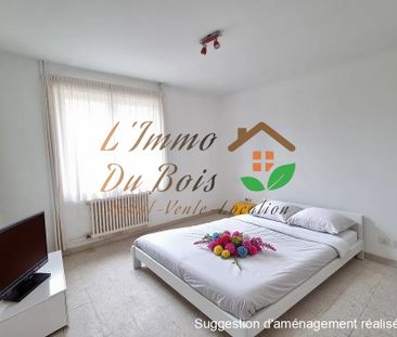 Location Appartement 3 pièces 57m² ROUSSILLON 38150 - Photo 2