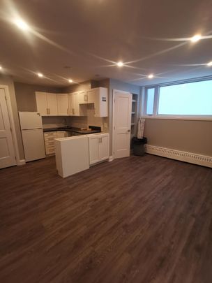 B2 - 350 Clemow Avenue - Photo 1