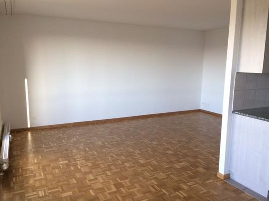 3.5-Zimmerwohnung in Langendorf - Foto 1